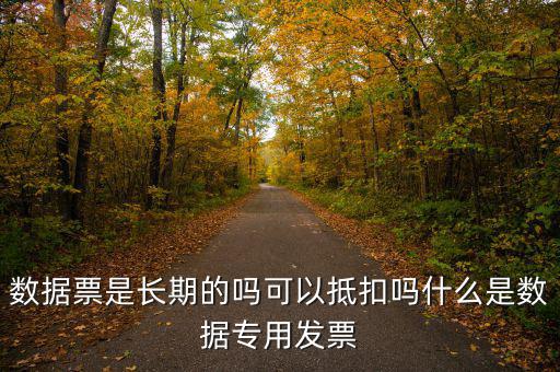 數(shù)據(jù)票是長(zhǎng)期的嗎可以抵扣嗎什么是數(shù)據(jù)專用發(fā)票