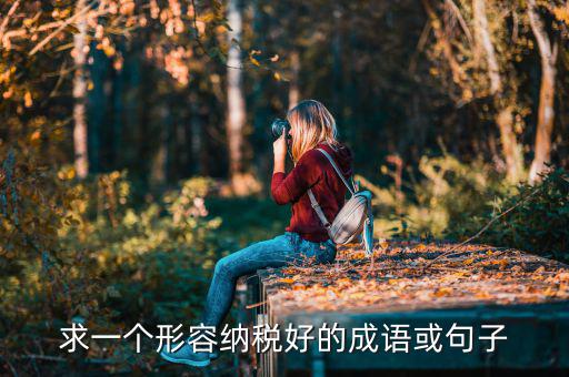 求一個(gè)形容納稅好的成語(yǔ)或句子