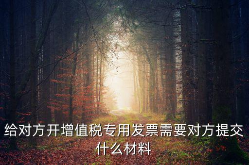 開專票要什么資料，加油卡開增值稅專用發(fā)票需要什么資料