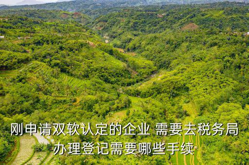 剛申請雙軟認定的企業(yè) 需要去稅務局辦理登記需要哪些手續(xù)