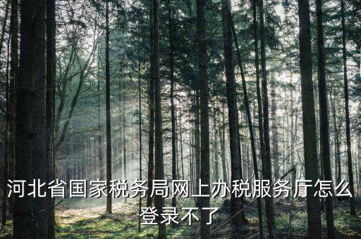 河北省國家稅務(wù)局網(wǎng)上辦稅服務(wù)廳怎么登錄不了