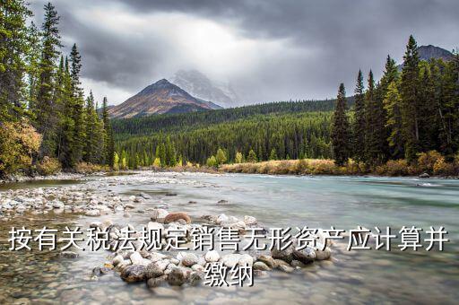 按有關(guān)稅法規(guī)定銷(xiāo)售無(wú)形資產(chǎn)應(yīng)計(jì)算并繳納