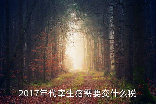 2017年代宰生豬需要交什么稅