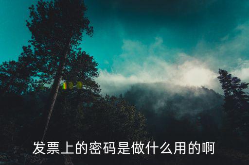 發(fā)票上的密碼是干什么的，發(fā)票上的密碼是做什么用的啊