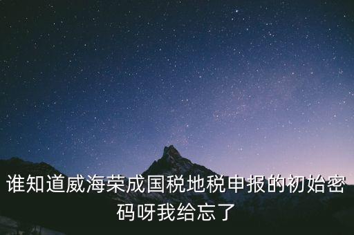 申報(bào)地稅的密碼是什么，徐州地稅網(wǎng)上申報(bào)的初始密碼是多少啊