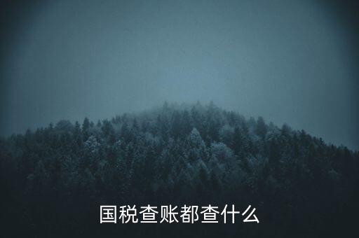 國(guó)稅查賬都查什么