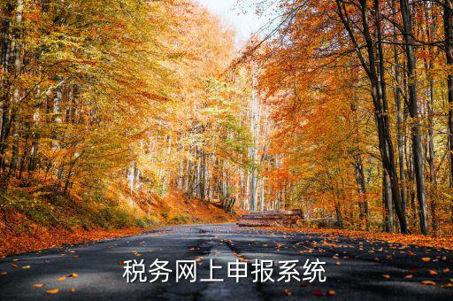 什么是稅收網(wǎng)報軟件，稅務網(wǎng)上申報系統(tǒng)