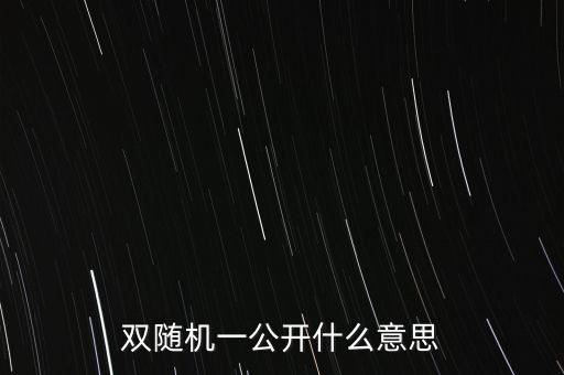 雙隨機一公開什么意思