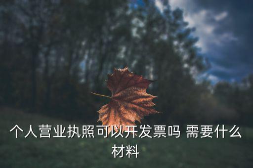 個(gè)體打印發(fā)票需要什么，個(gè)人購物開增值稅普通發(fā)票需要什么資料