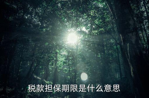 納稅擔(dān)保人什么意思，稅款擔(dān)保期限是什么意思