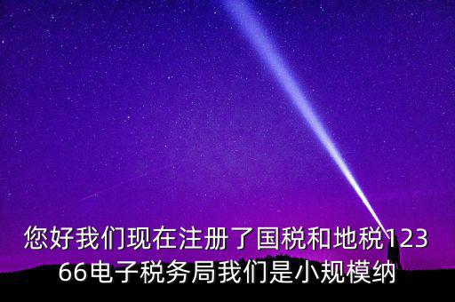 您好我們現(xiàn)在注冊(cè)了國(guó)稅和地稅12366電子稅務(wù)局我們是小規(guī)模納