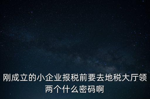 繳稅服務(wù)廳口令輸什么，剛成立的小企業(yè)報(bào)稅前要去地稅大廳領(lǐng)兩個(gè)什么密碼啊