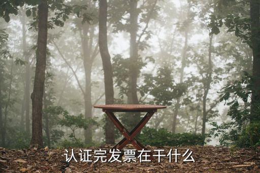 發(fā)票票種核定后做什么，認證完發(fā)票在干什么