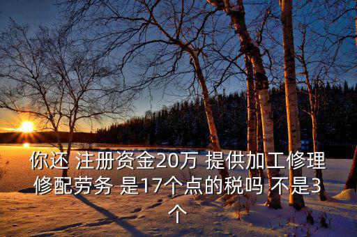 你還 注冊資金20萬 提供加工修理修配勞務 是17個點的稅嗎 不是3個