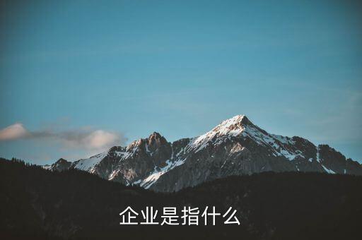 企業(yè)是指什么