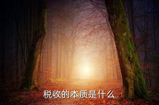 納稅服務(wù)本質(zhì)是什么意思，稅收的本質(zhì)是什么