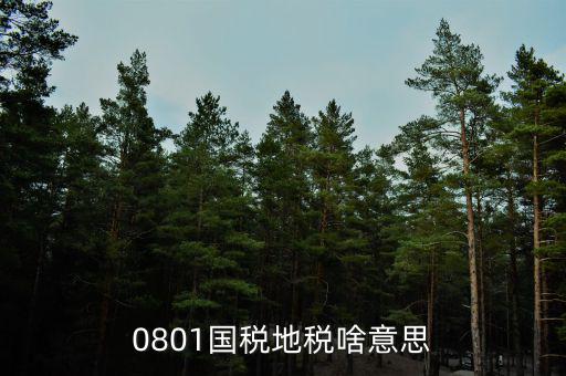 鹽城地稅三化是什么意思，地稅三優(yōu)兩促進(jìn)是什么意思