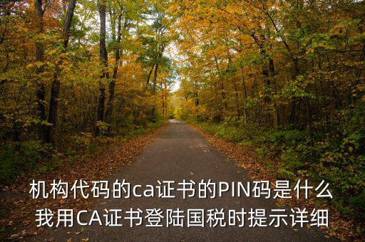 機(jī)構(gòu)代碼的ca證書的PIN碼是什么我用CA證書登陸國稅時提示詳細(xì)