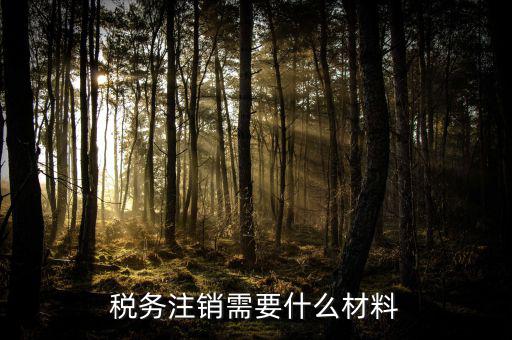 注銷金稅盤需要帶什么，注銷稅務(wù)登記證需提供哪些材料