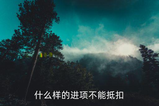 什么樣的進項不能抵扣