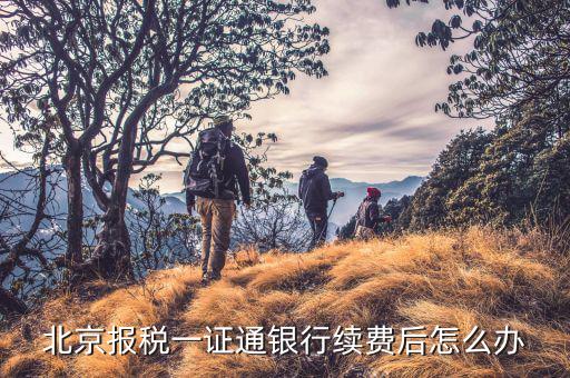 稅務(wù)一證通是什么，金稅盤和一證通有區(qū)別嗎