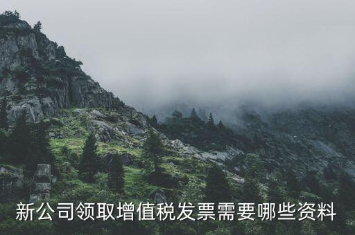 新公司領(lǐng)取增值稅發(fā)票需要哪些資料