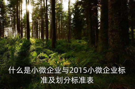 什么是小微企業(yè)與2015小微企業(yè)標(biāo)準(zhǔn)及劃分標(biāo)準(zhǔn)表