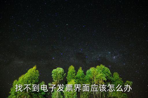 找不到電子發(fā)票界面應(yīng)該怎么辦