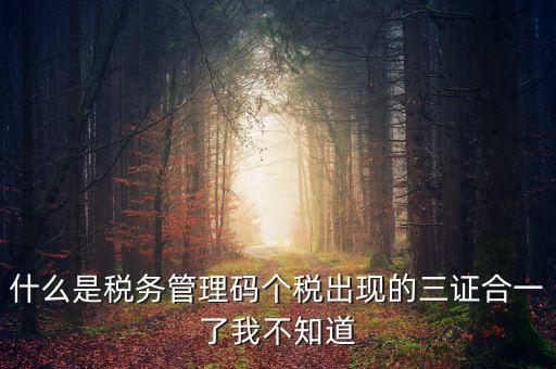 什么是稅務(wù)管理碼個稅出現(xiàn)的三證合一了我不知道