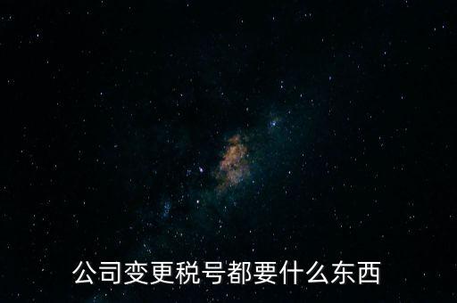 公司變更稅號都要什么東西