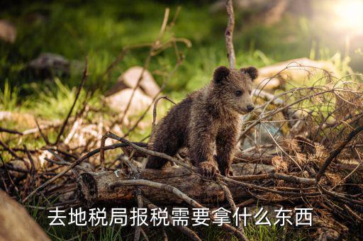 去地稅局報(bào)稅需要拿什么東西