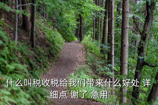 什么叫稅收稅給我們帶來什么好處 詳細(xì)點(diǎn) 謝了 急用