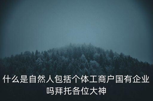 什么是稅務(wù)中的自然人，會(huì)計(jì)中自然人所指的是那種人