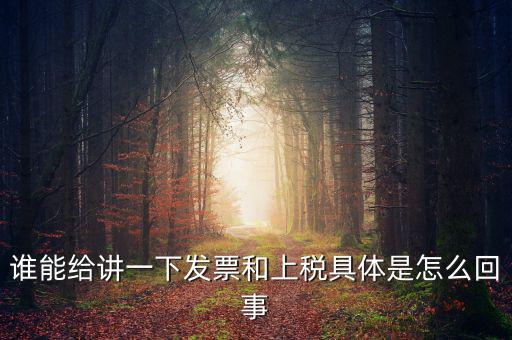 誰能給講一下發(fā)票和上稅具體是怎么回事