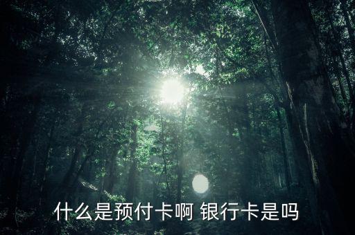 支付機構預付卡是什么意思，銀聯(lián)預付卡是什么意思