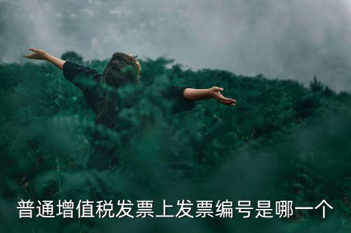 增值稅編號是什么，普通增值稅發(fā)票上發(fā)票編號是哪一個