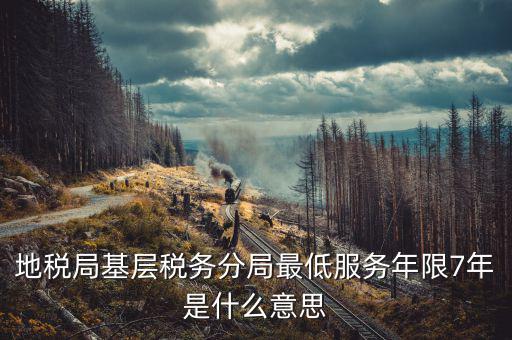 地稅局基層稅務(wù)分局最低服務(wù)年限7年是什么意思