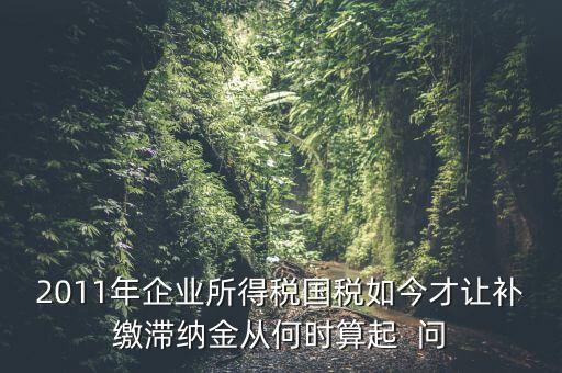 納稅滯納金什么時(shí)候算，企業(yè)所得稅滯納金計(jì)算從何時(shí)開(kāi)始計(jì)算