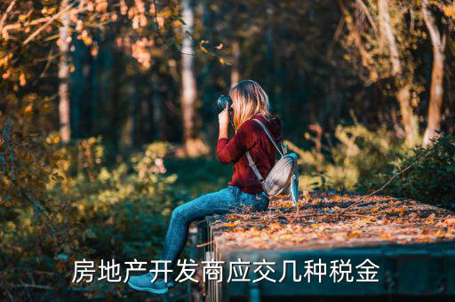 房地產(chǎn)公司交什么稅，房地產(chǎn)公司都要交什么稅