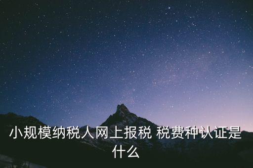 小規(guī)模納稅人網(wǎng)上報稅 稅費種認(rèn)證是什么