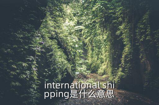 international shipping是什么意思