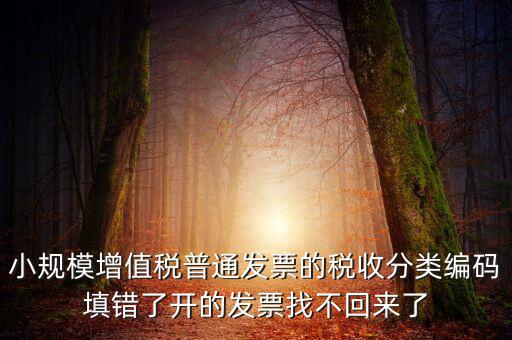 小規(guī)模增值稅普通發(fā)票的稅收分類編碼填錯(cuò)了開(kāi)的發(fā)票找不回來(lái)了