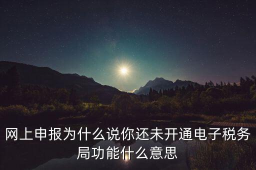 電子稅務(wù)局是干什么，企業(yè)金稅盤系統(tǒng)用來(lái)開票抄稅報(bào)稅用那登錄國(guó)稅地稅局網(wǎng)站是干嘛的