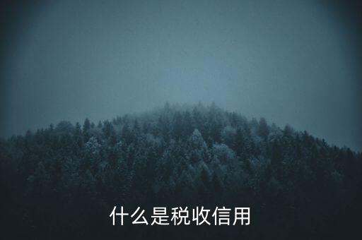 什么是稅收信用