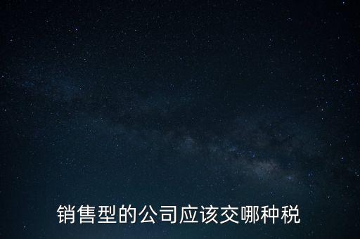 銷售型的公司應(yīng)該交哪種稅