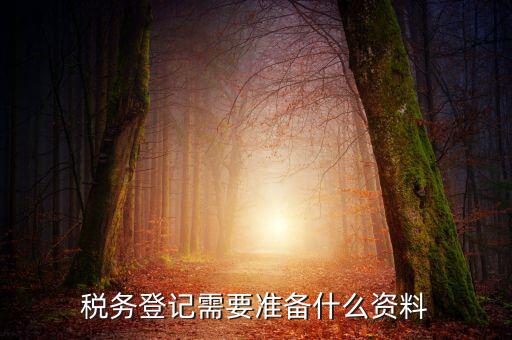 稅務(wù)登記需要準(zhǔn)備什么資料