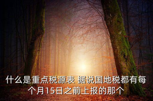 什么是重點(diǎn)稅源表 據(jù)說(shuō)國(guó)地稅都有每個(gè)月15日之前上報(bào)的那個(gè)