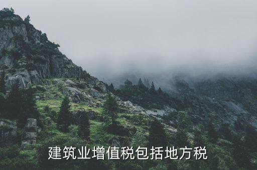 建筑業(yè)增值稅包含什么，建筑業(yè)增值稅