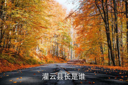 灌云國(guó)稅局局長(zhǎng)叫什么，國(guó)家稅務(wù)局局長(zhǎng)叫什么