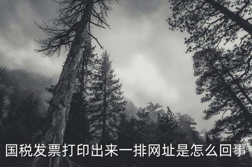 國(guó)稅發(fā)票打印出來(lái)一排網(wǎng)址是怎么回事